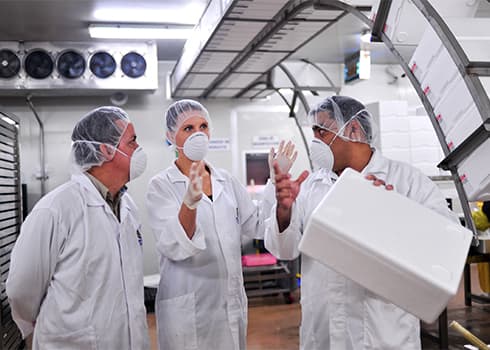 Homepage - Magdalena Wallhoff