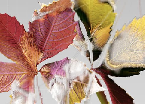 Thinking - Magdalena Wallhoff